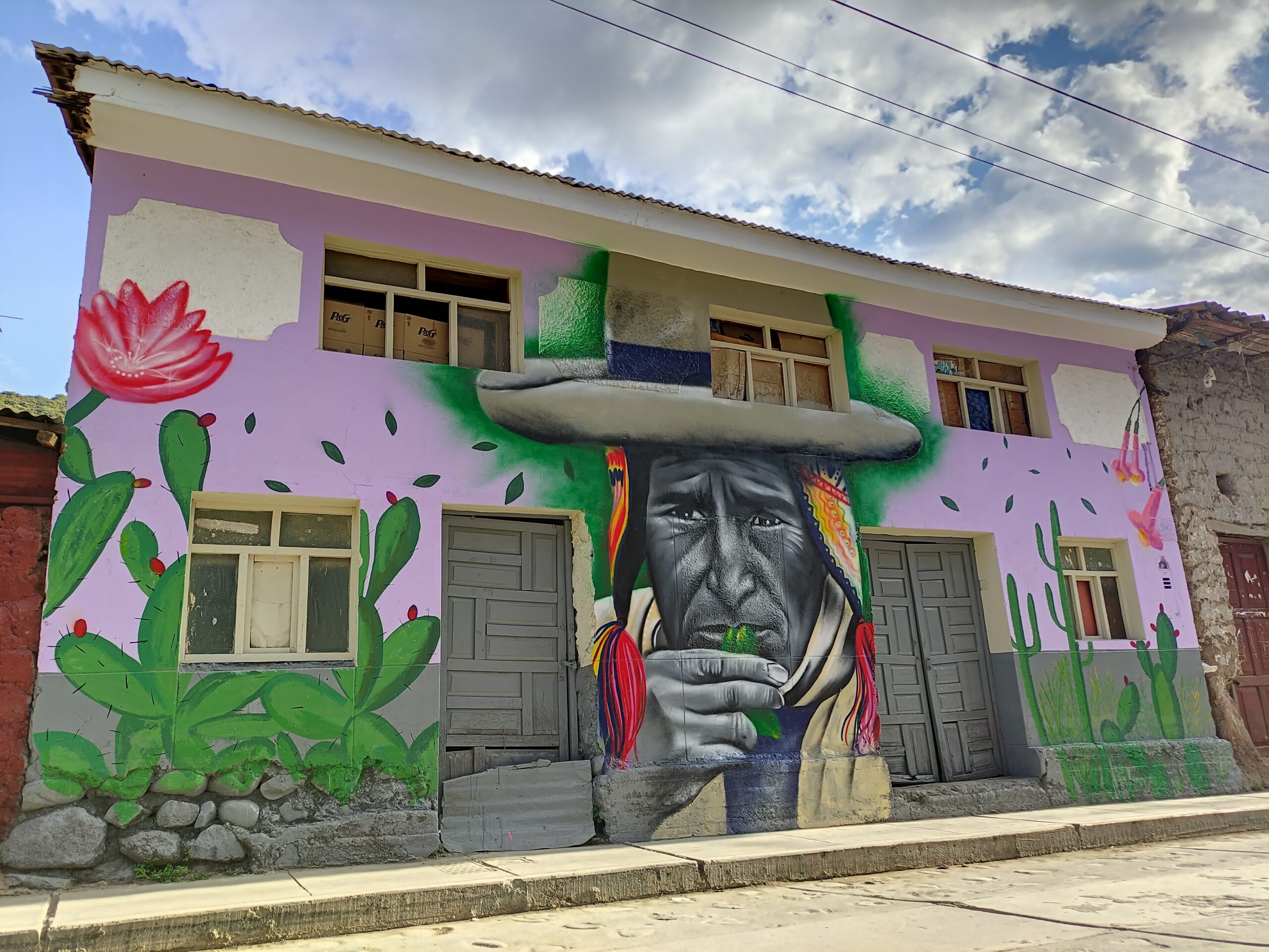 Raíces Vivas — Mural Andino - Imagen 4