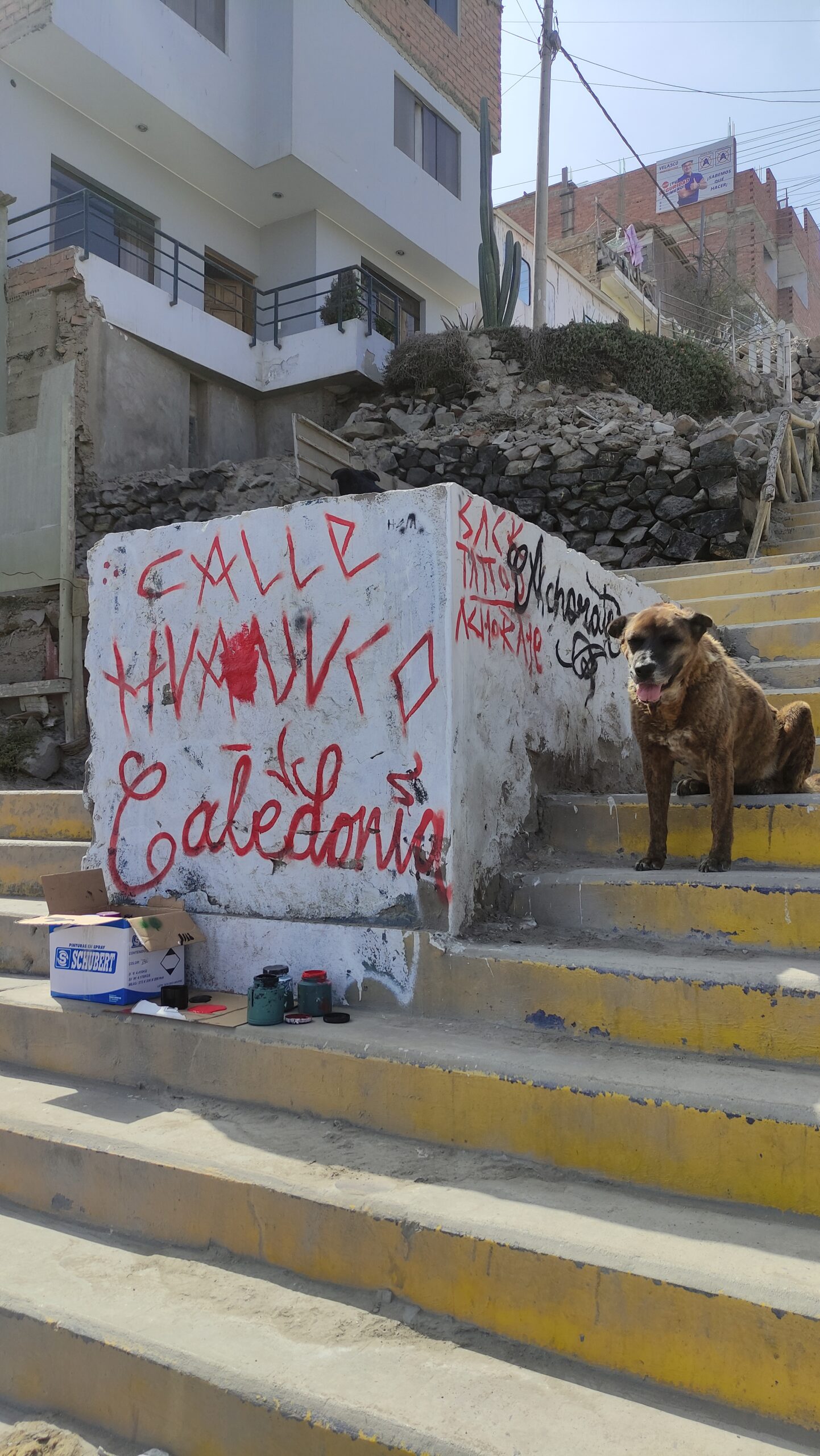 Muro Barrio Bendito - Imagen 8